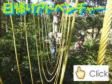 �摜