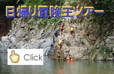 �摜