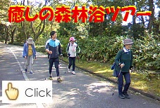�摜